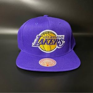 LA Lakers Snapback Hat Purple/Purple Mitchell & Ness New